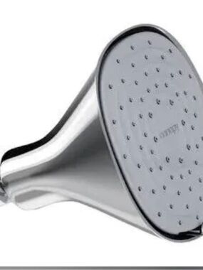 Canopy Polished Chrome Filtered Showerhead